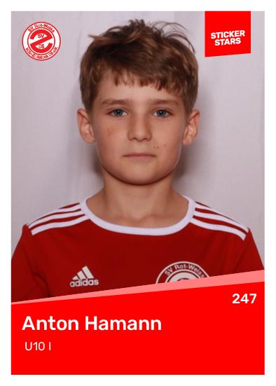 Anton Hamann